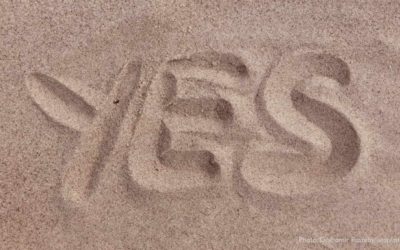 The Best Time to Be an ID. Ever.